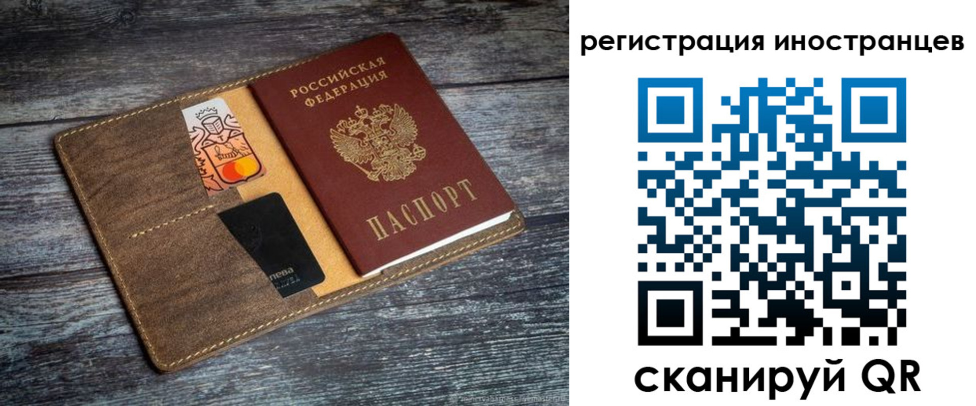где прописаться в Ельне