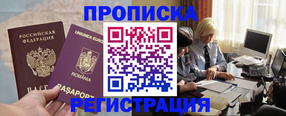 прописка 2025 в Ельне